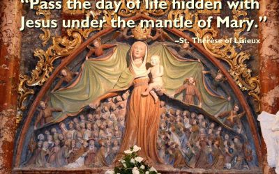 Devotion of St. Thérèse of Lisieux to the Blessed Virgin Mary